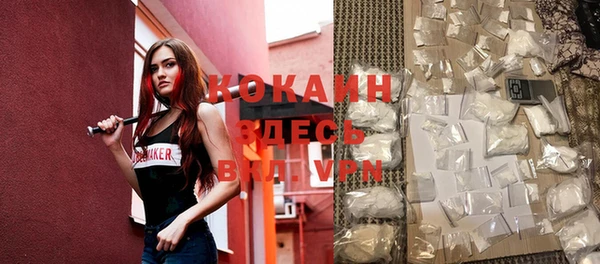 винт Абаза
