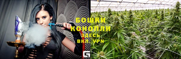 гидра Покровск