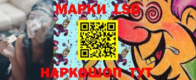 PSILOCYBIN Гудермес