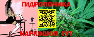 PSILOCYBIN Гудермес