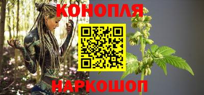 PSILOCYBIN Гудермес