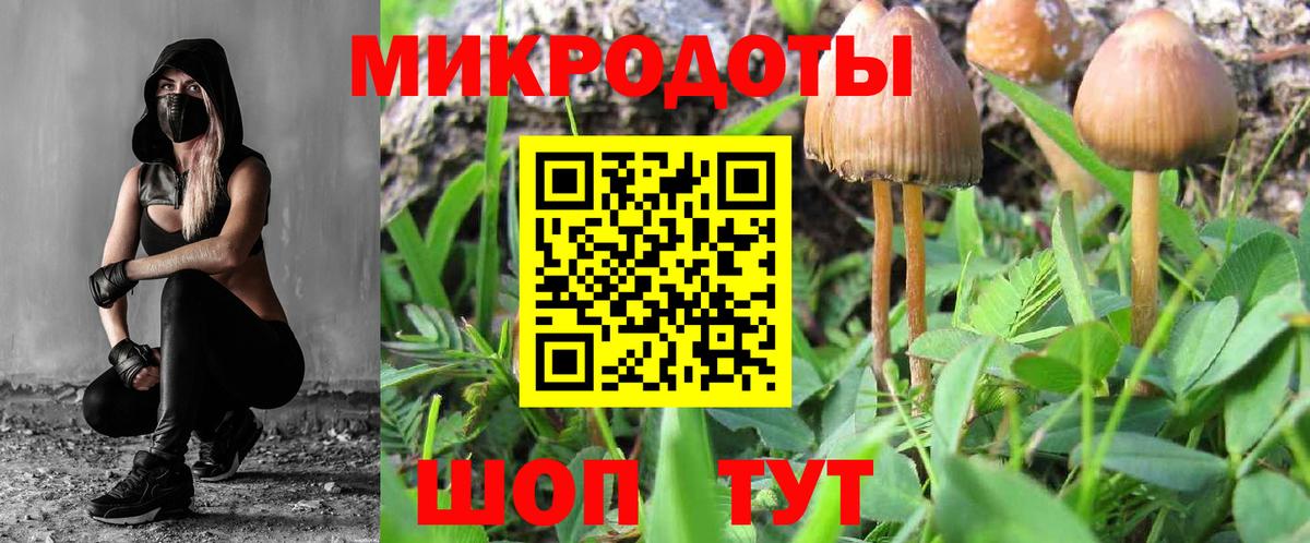 Псилоцибиновые грибы Psilocybe  Вход с VPN  Псилоцибиновые грибы GOLDEN TEACHER  Моршанск 