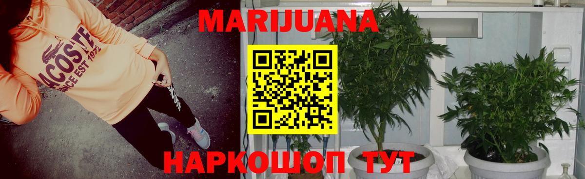 Шишки марихуана тримм  Вход с VPN  Шишки марихуана тримм  Моршанск 